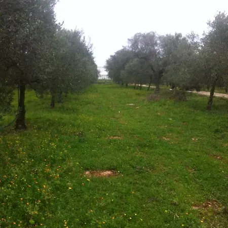 Alojamento de Turismo Rural Casina Murgecchia