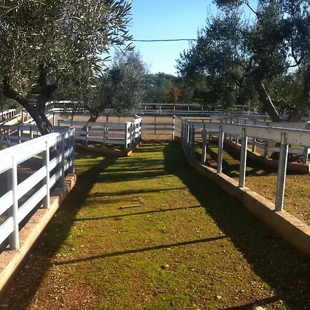 Alojamento de Turismo Rural Casina Murgecchia