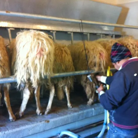 Séjour à la ferme Casina Murgecchia *