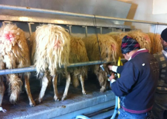 Séjour à la ferme Casina Murgecchia *