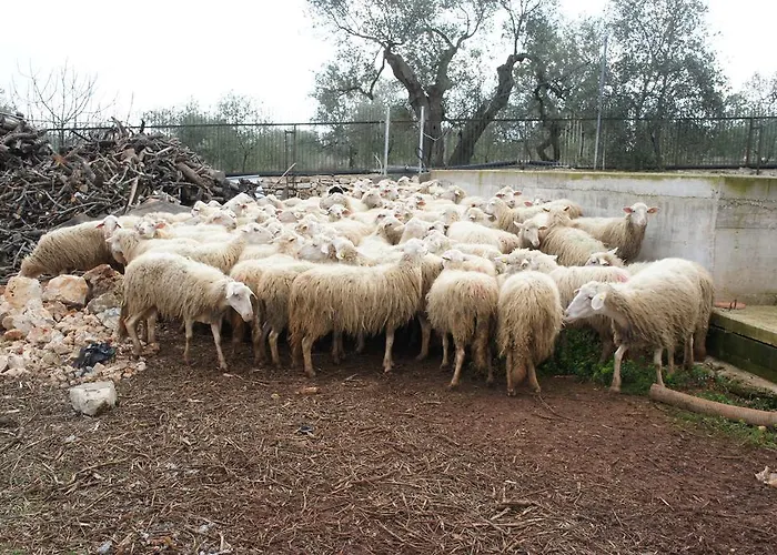 Séjour à la ferme Casina Murgecchia *