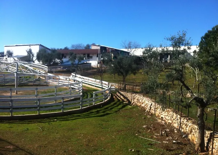 Feriegård Casina Murgecchia *